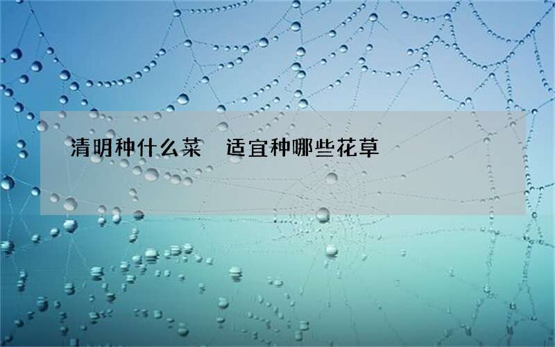 清明种什么菜 适宜种哪些花草